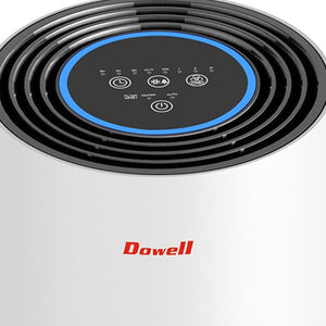 Dowell Five-Stage Air Purifier with HEPA Filter (25 sqm) | Model: RAP-25