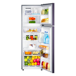 Samsung 9.1 cu. ft. Two Door No Frost Inverter Refrigerator | Model: RT25FARBDUT