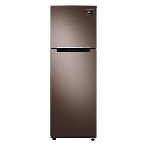 Samsung 9.1 cu. ft. Two Door No Frost Inverter Refrigerator | Model: RT25M4033DX
